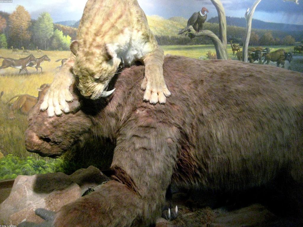 ការអភិវឌ្ឍន៍នៃព្រឹត្តិការណ៍ស្លុត