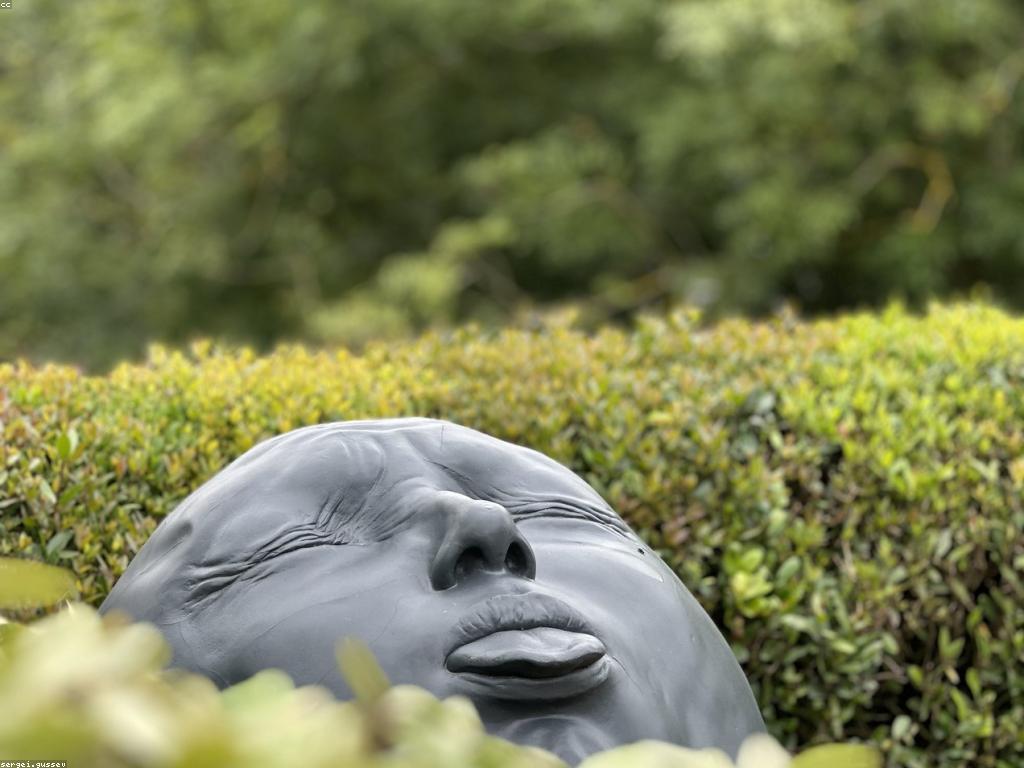 ការពិភាក្សាអំពីក្បាច់ស្លុត