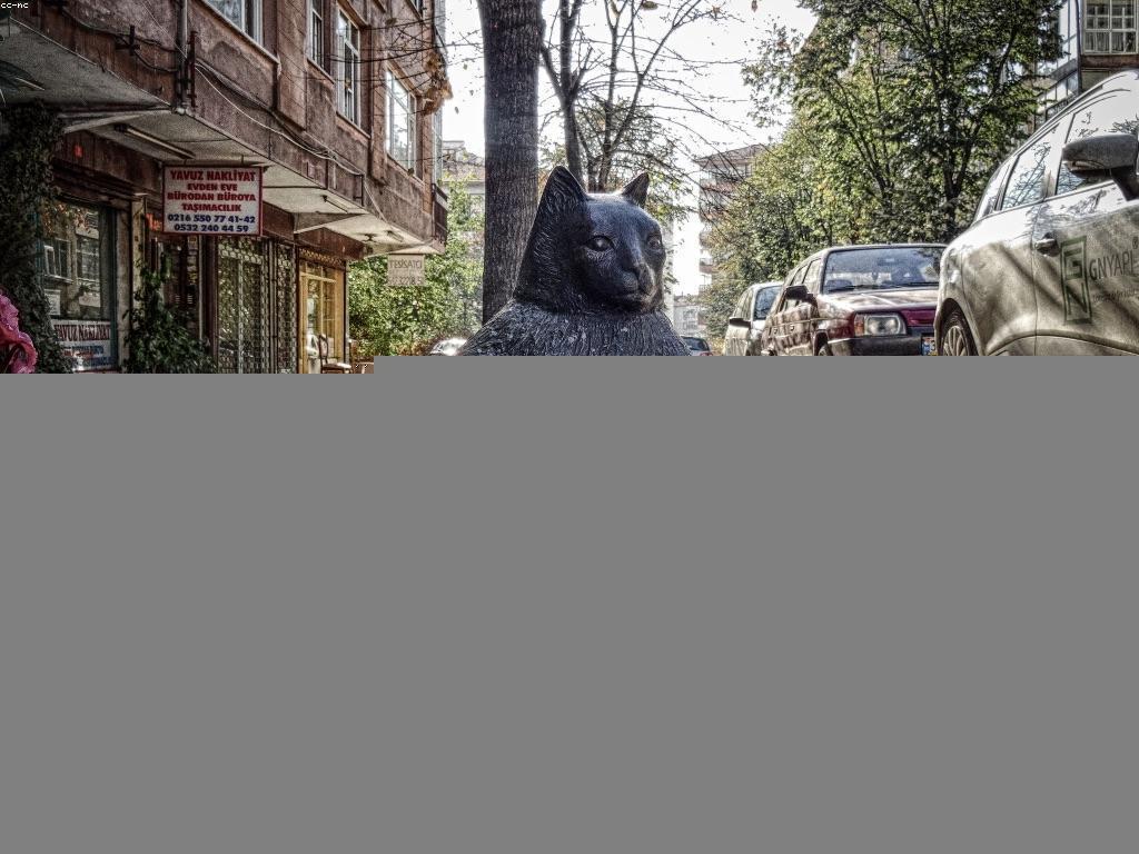 គំនិតថ្មីសម្រាប់ស្លុតបន្ថែម